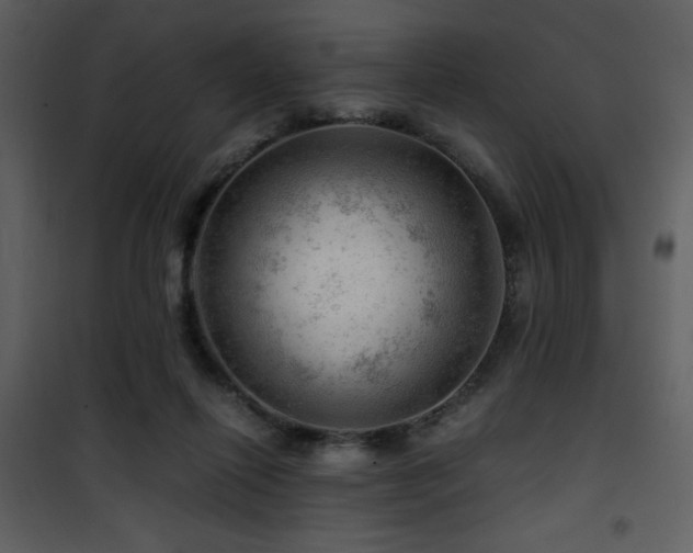 X0000101960262200807181048