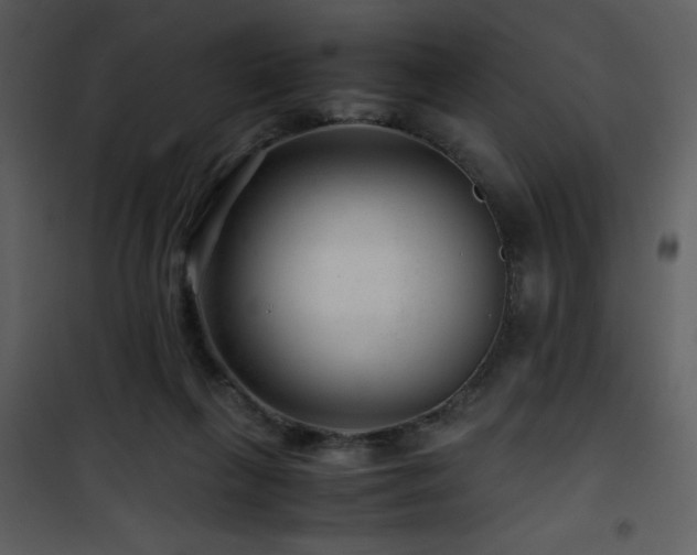 X0000101960263200807181048