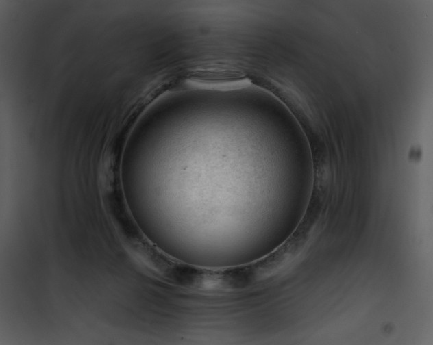 X0000101960264200807181048