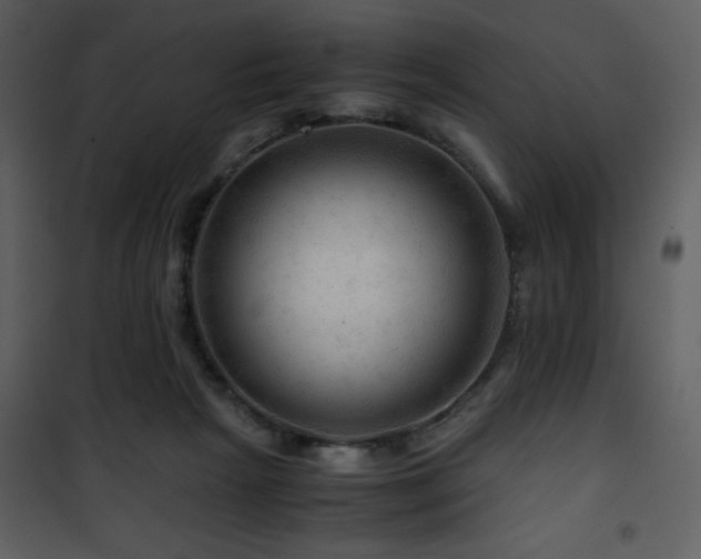 X0000101960265200807181048