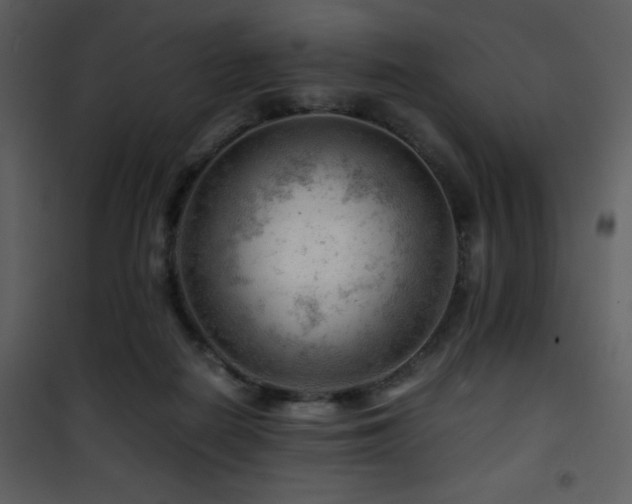 X0000101960266200807181048