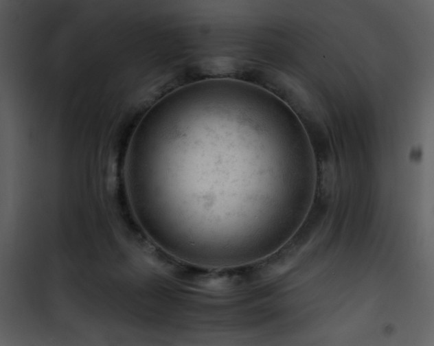 X0000101960267200807181048