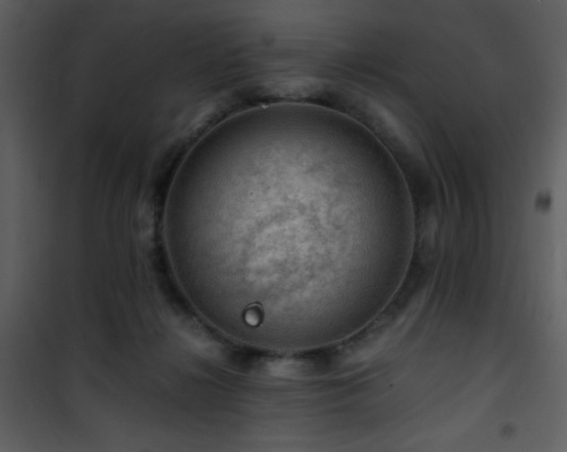 X0000101960268200807181048