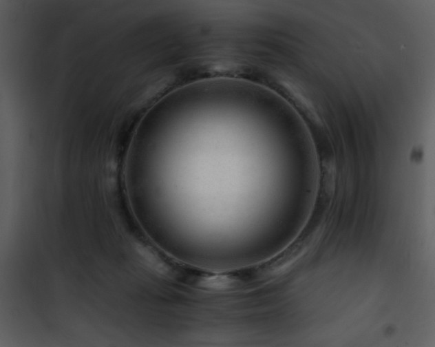 X0000101960269200807181048