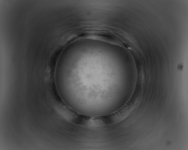 X0000101960270200807181048