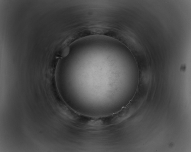 X0000101960271200807181048