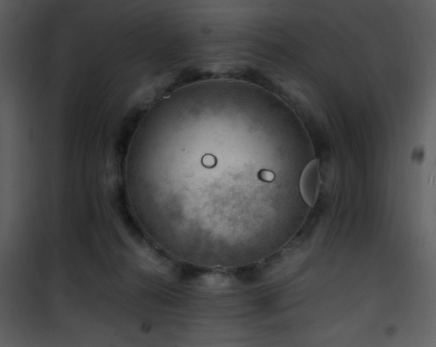 X0000101960272200807181048