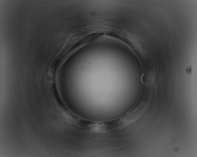 X0000101960273200807181048