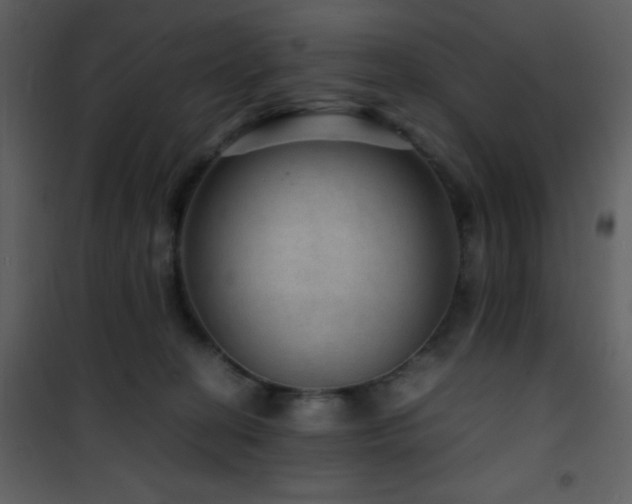 X0000101960274200807181048