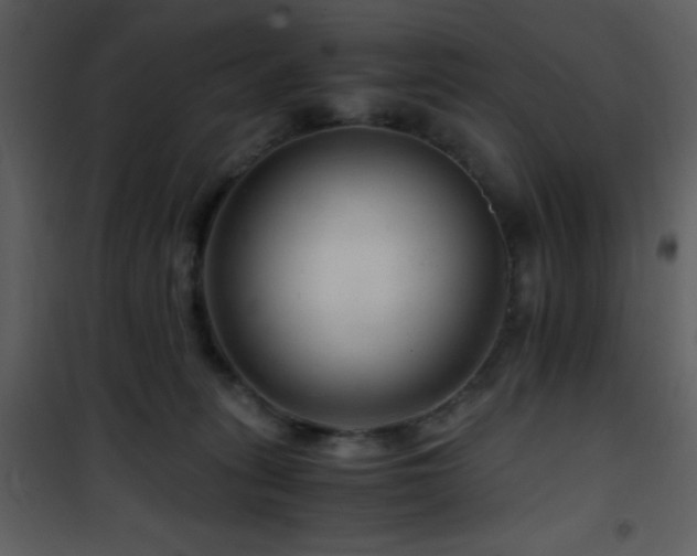 X0000101960275200807181048