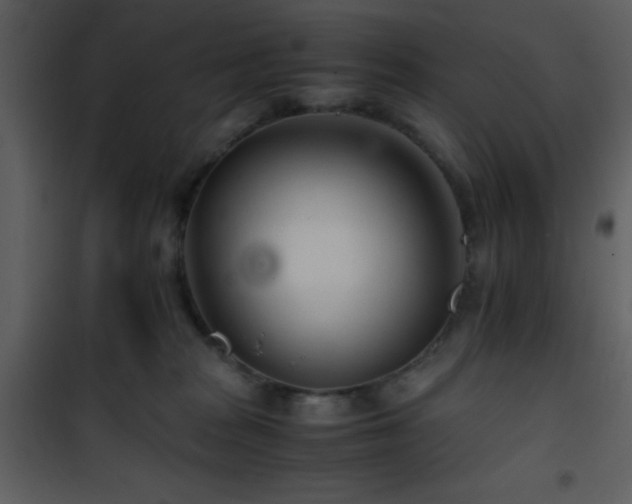 X0000101960277200807181048