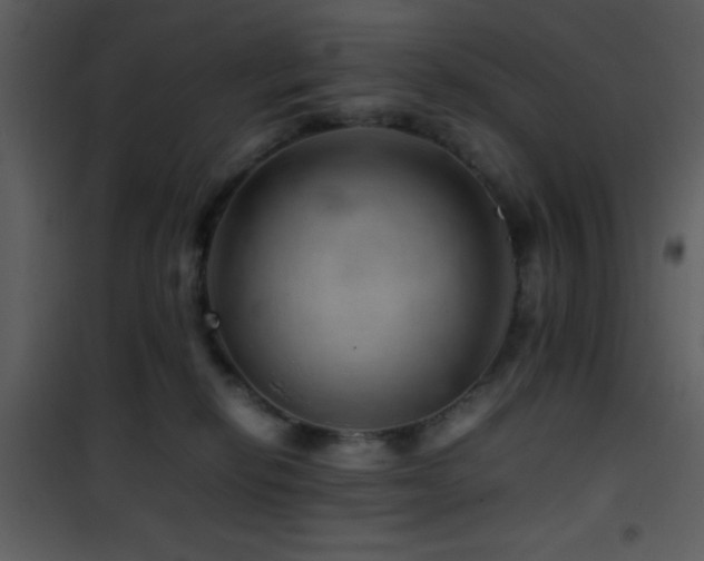 X0000101960278200807181048