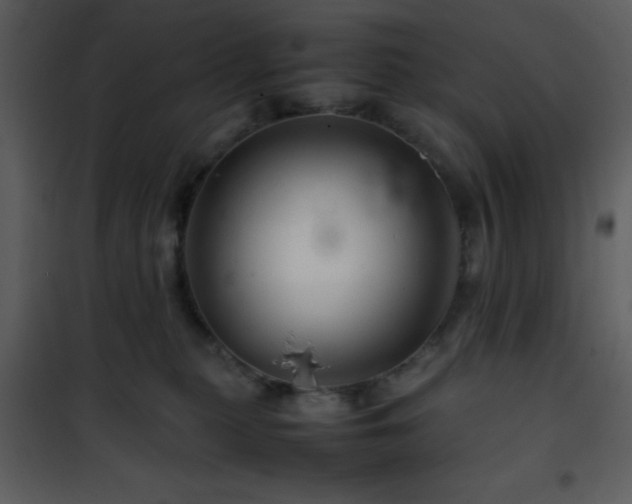 X0000101960279200807181048