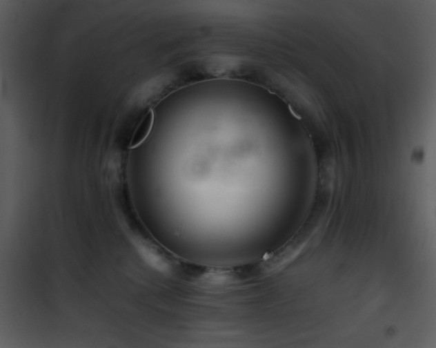 X0000101960280200807181048