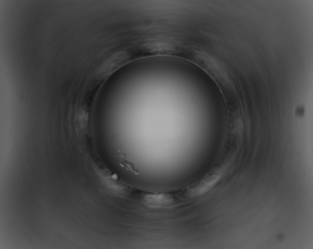 X0000101960281200807181048