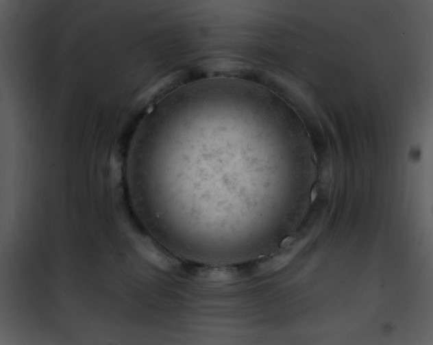 X0000101960282200807181048