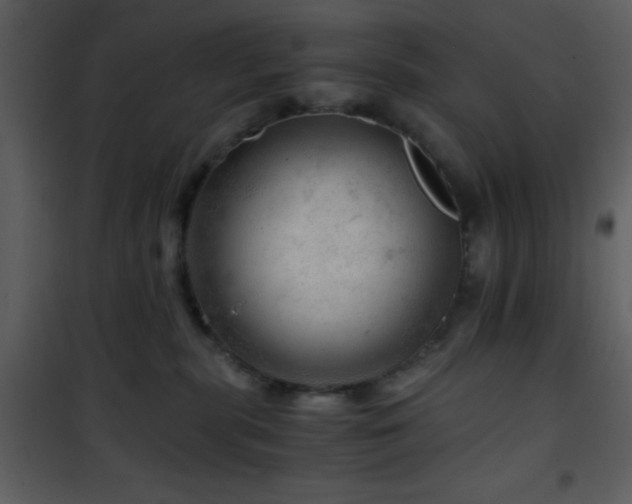 X0000101960283200807181048