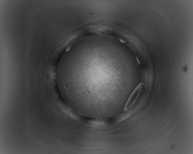 X0000101960284200807181048