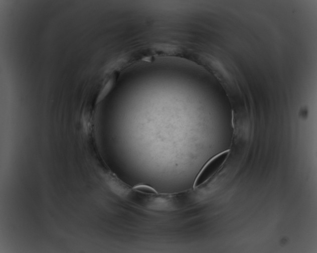 X0000101960285200807181048