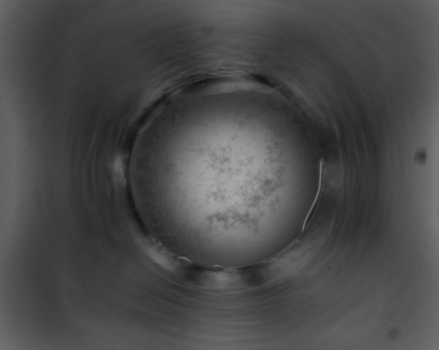 X0000101960286200807181048