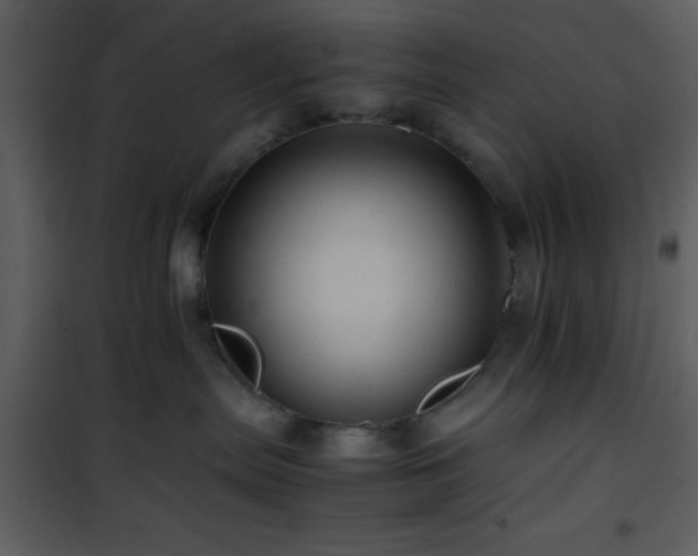 X0000101960287200807181048