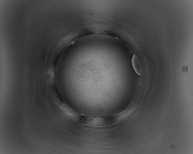 X0000101960288200807181048