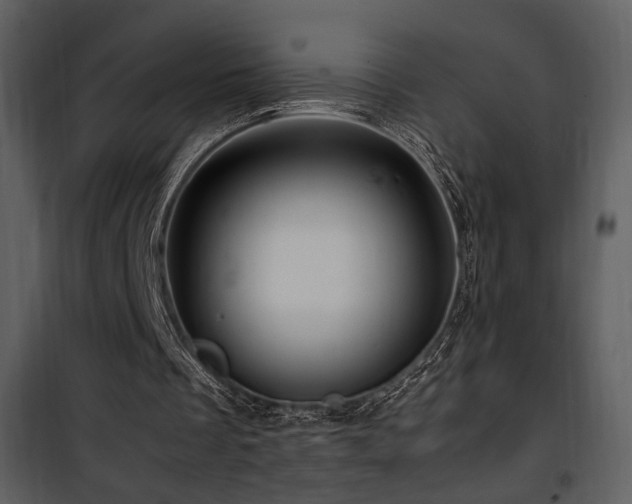 X0000101960289200807181047
