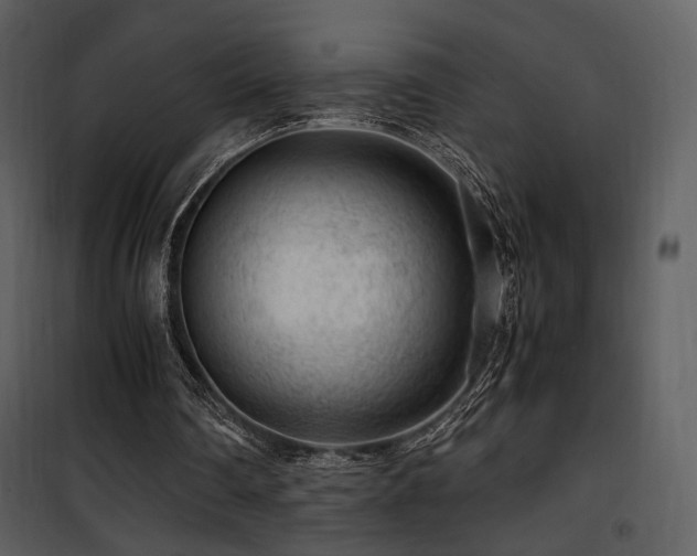 X0000101960290200807181047