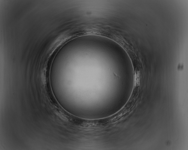 X0000101960291200807181047