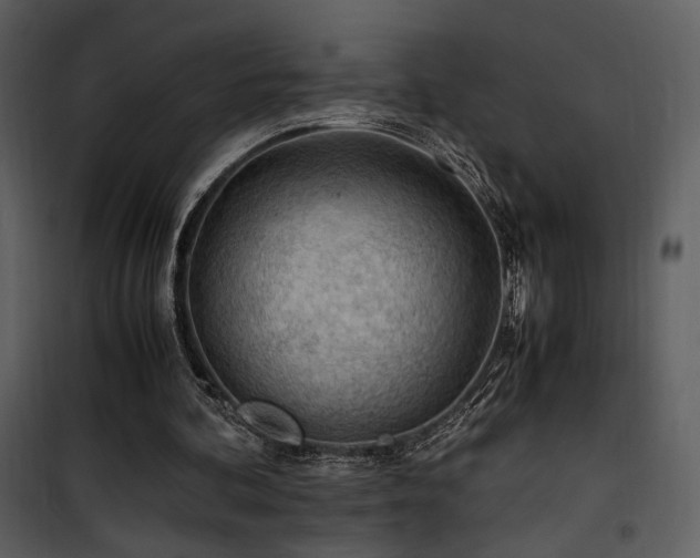 X0000101960292200807181047