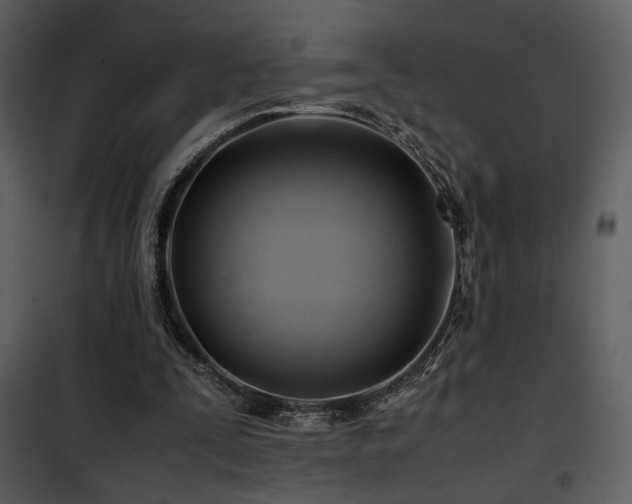 X0000101960295200807181047