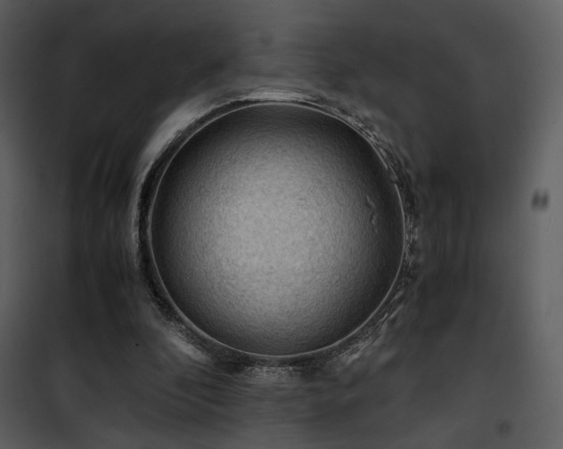 X0000101960296200807181047