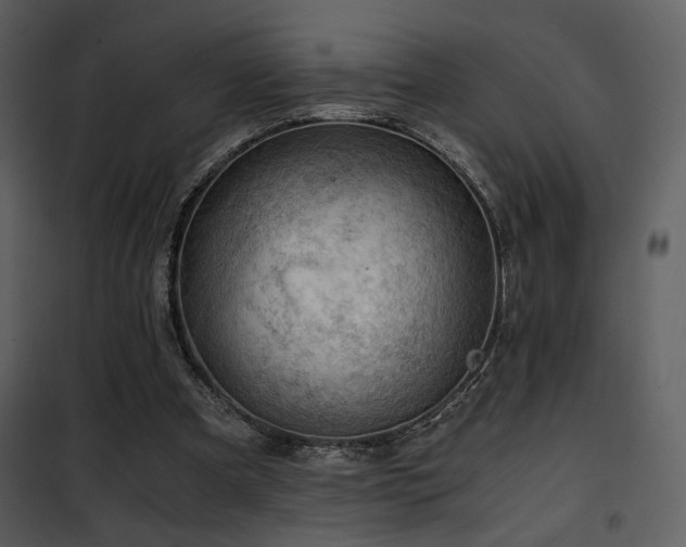 X0000101960297200807181047