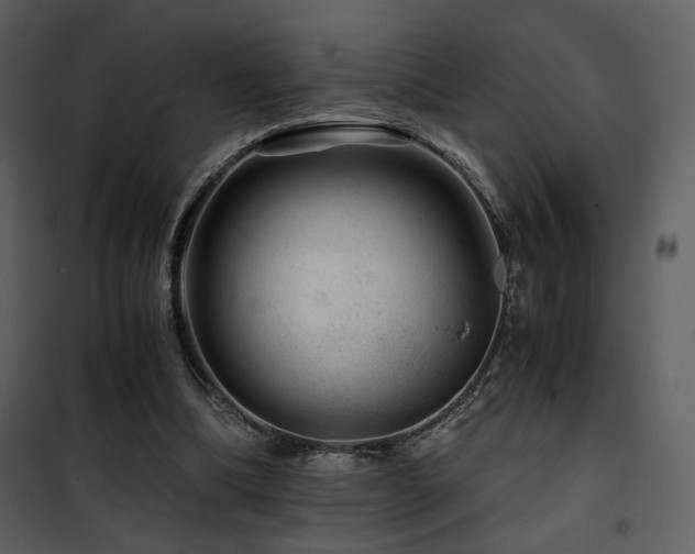 X0000101960298200807181047