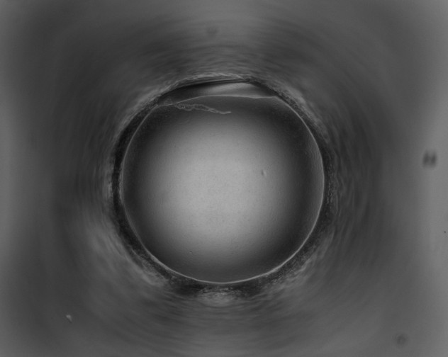 X0000101960299200807181047