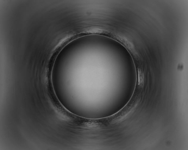 X0000101960300200807181047