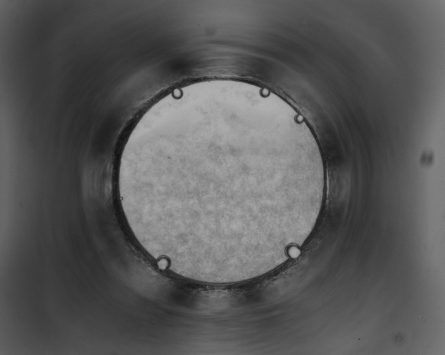 X0000101960301200807181047