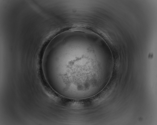 X0000101960303200807181047