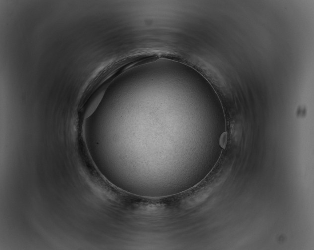 X0000101960304200807181047