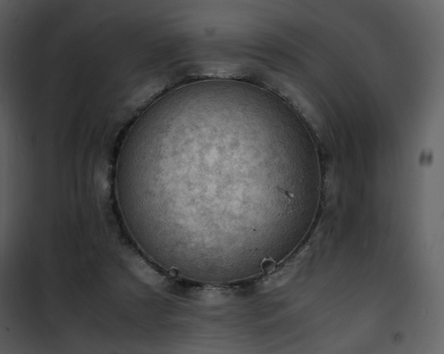 X0000101960305200807181047