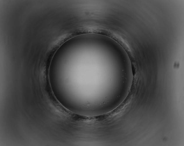 X0000101960306200807181047