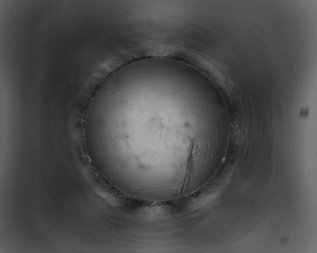 X0000101960307200807181047