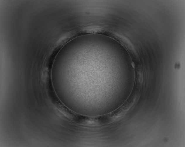 X0000101960308200807181047