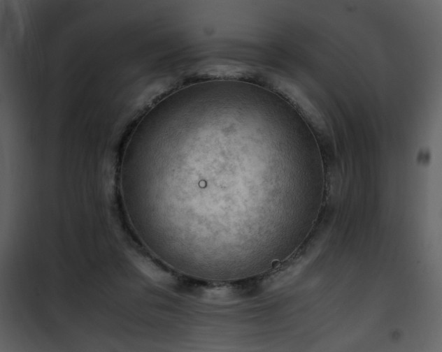 X0000101960309200807181047