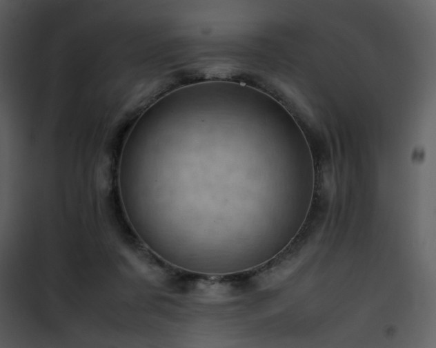 X0000101960311200807181047