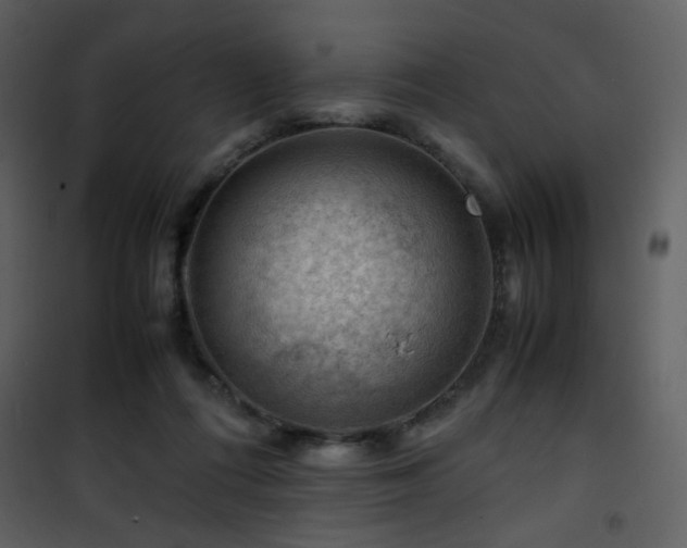 X0000101960312200807181047