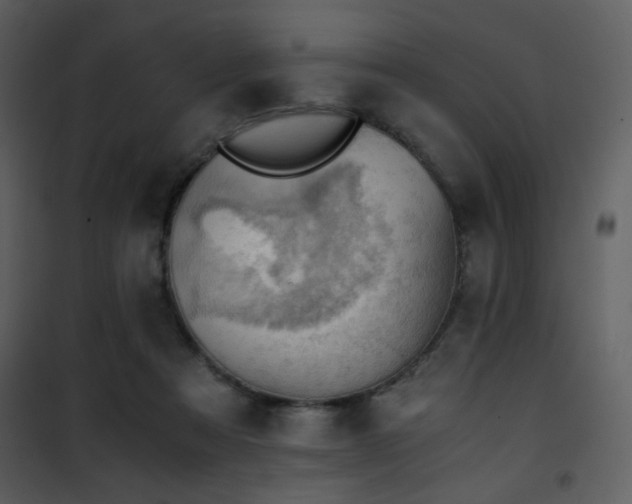 X0000101960313200807181047