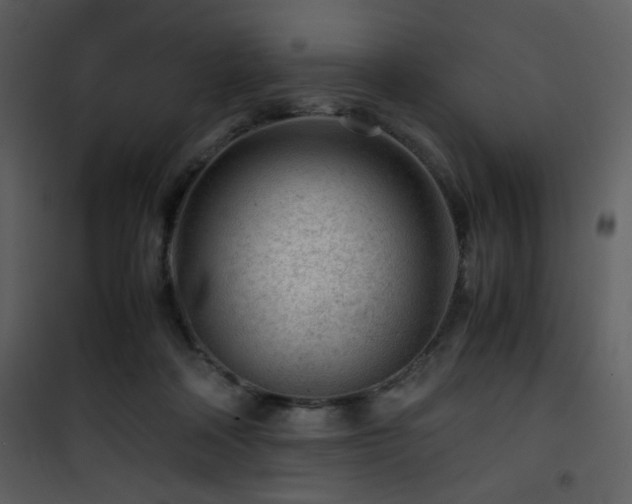 X0000101960314200807181047