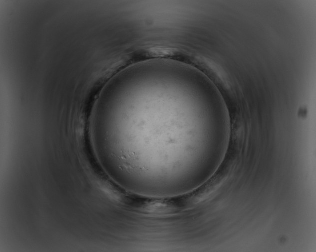 X0000101960315200807181047