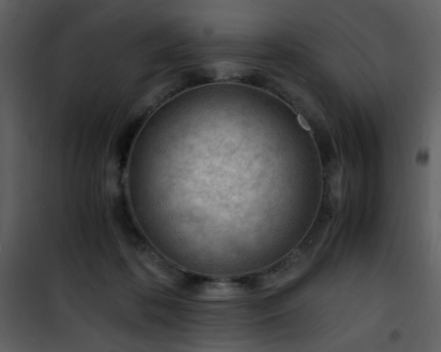 X0000101960316200807181047